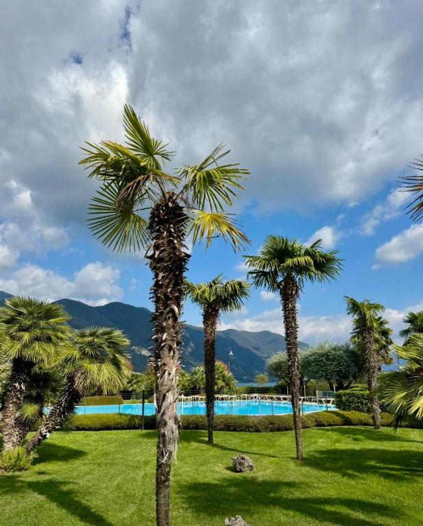 a group of palm trees next to a swimming pool at La Casa di Lella in Paratico