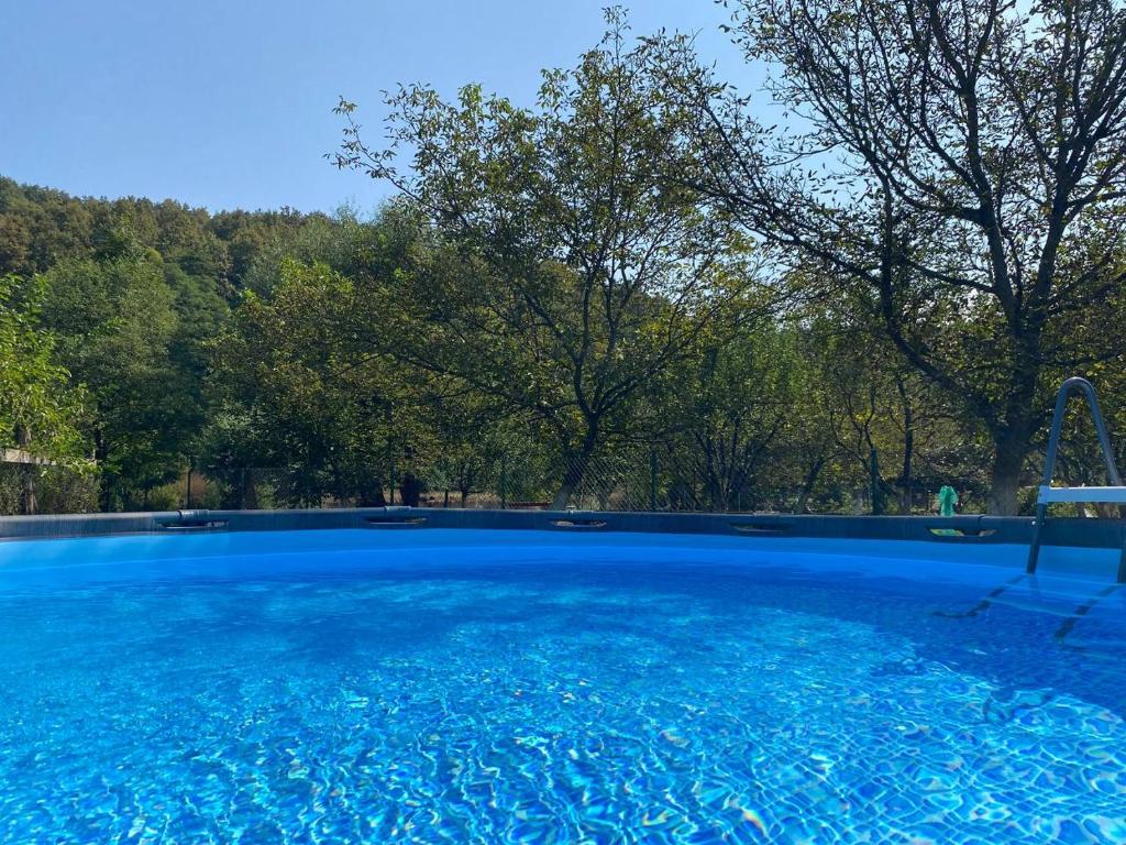 a large blue swimming pool with trees in the background at Solomiia in Solochyn