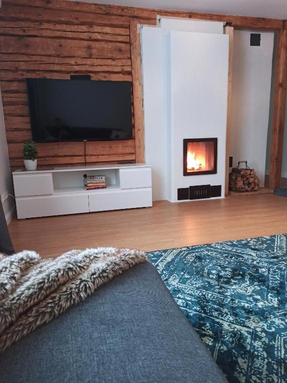 a living room with a television and a fireplace at Relax Inn Otepää Apartment in Otepää
