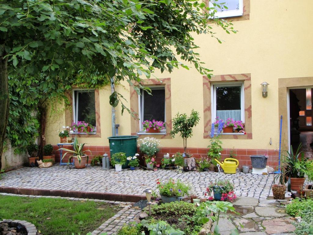 a garden in front of a house with potted plants at 20qmchemnitz in Chemnitz