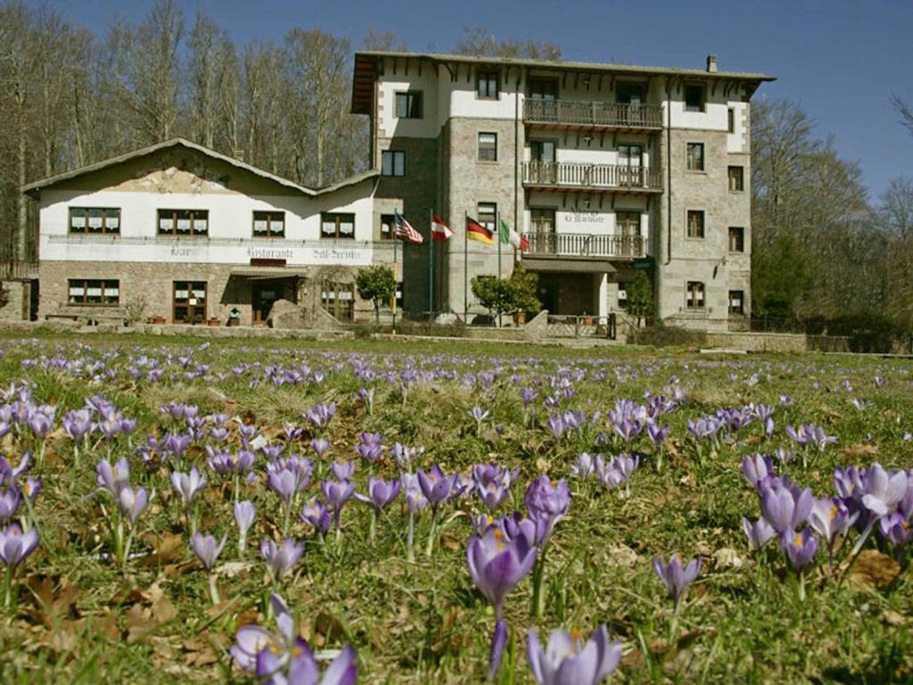 Zahrada ubytování Albergo Le Macinaie - Monte Amiata