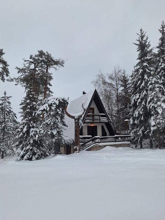 a cabin in the snow with snow covered trees at Vila Jovanovic in Zlatibor