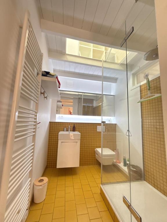 Colmar historic center Charming duplex with garage – photo 11