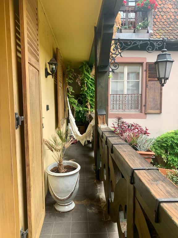 Colmar historic center Charming duplex with garage – photo 14