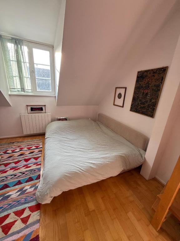 Colmar historic center Charming duplex with garage – photo 17