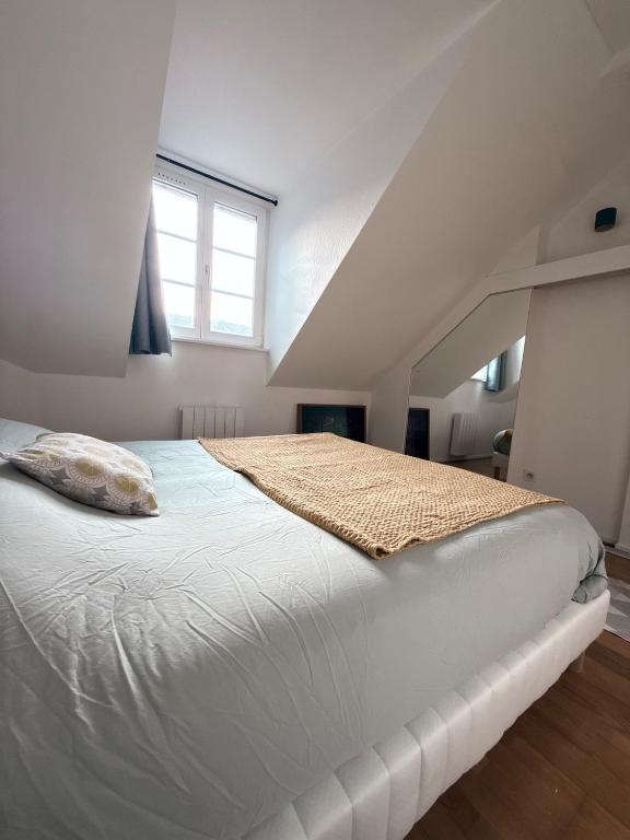 Colmar historic center Charming duplex with garage – photo 19
