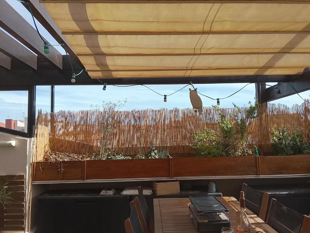 Green Roof Top