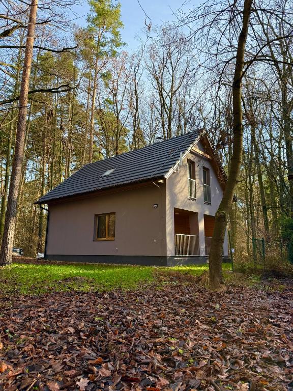 a small white house with a black roof at Forest House Buxusson in Dolní Slověnice
