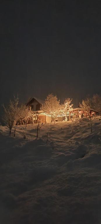 a snow covered field with trees and a house at night at Cuibul cu Trufe in Feldru