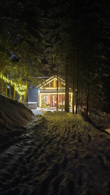 a house with christmas lights in the snow at night at Lacașul Lupilor in Colibiţa