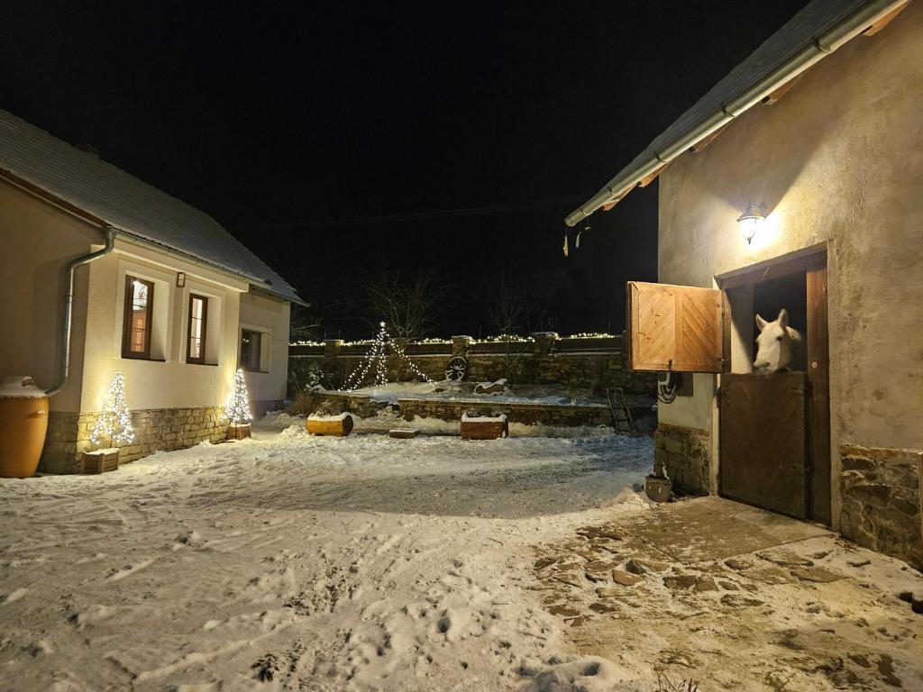 a dog standing in the doorway of a house in the snow at Statek U Šimla in Lážovice