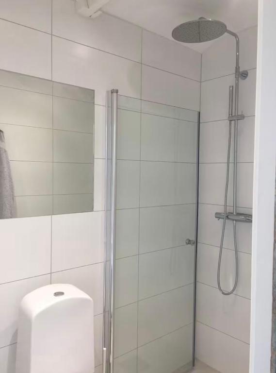 a bathroom with a glass shower with a toilet at Central guesthouse in Halmstad