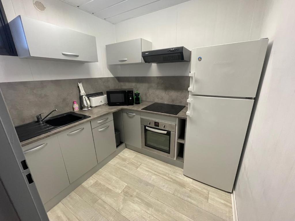 Chaleureuse annexe contemporaine – photo 4