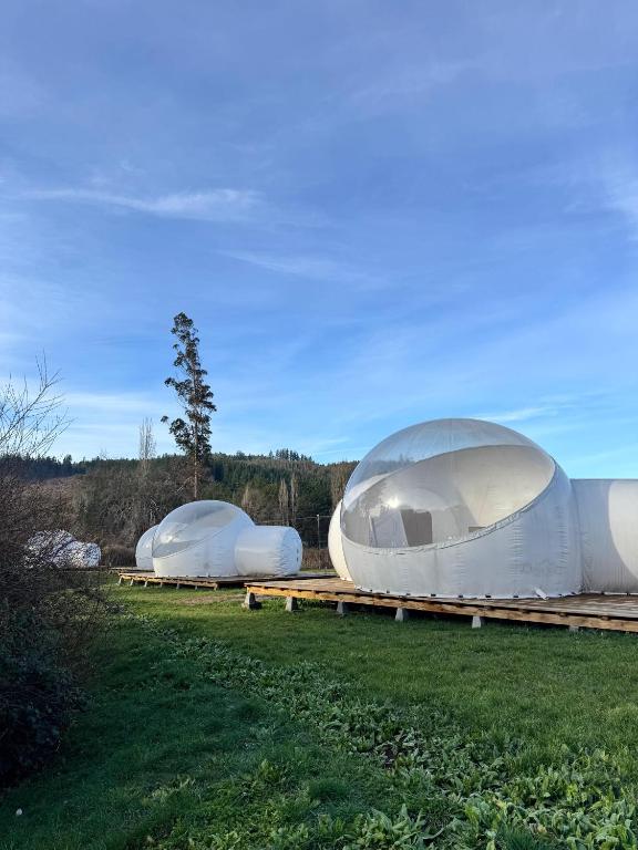 two domes on display in a field at Hotel Cielo Stellato in Capitán Pastene