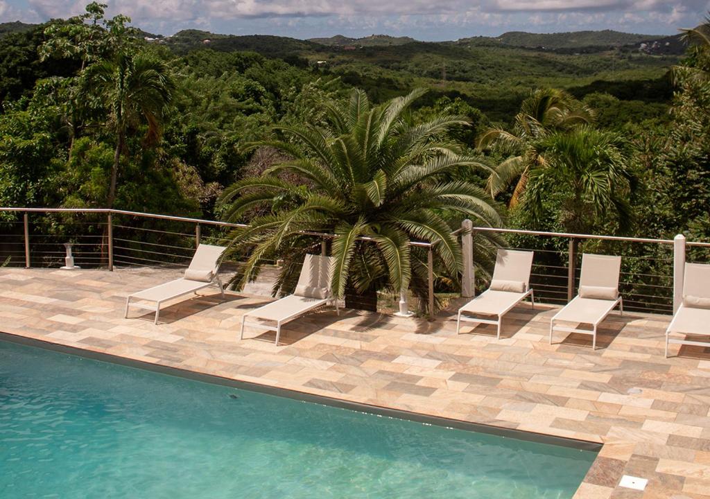 a swimming pool with chairs and a palm tree at Villa Caryota, Panorama Montagnes & Piscine 9m in Le Marin