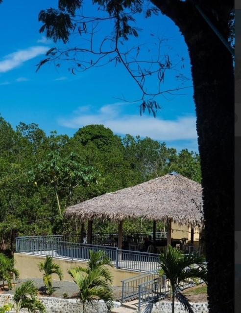 a pavilion with a straw umbrella and trees at Villa Gregorio mountain top in Bonao
