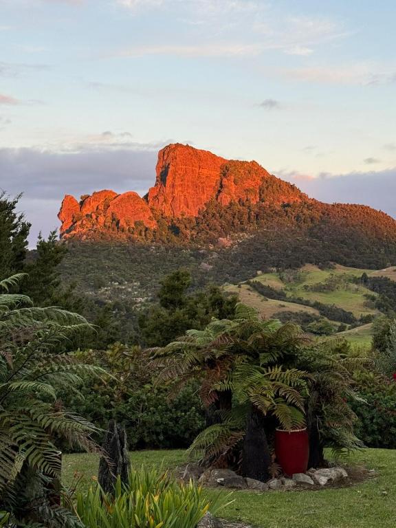 a view of ayers rock from a field with plants at Taratara retreat in Kaeo