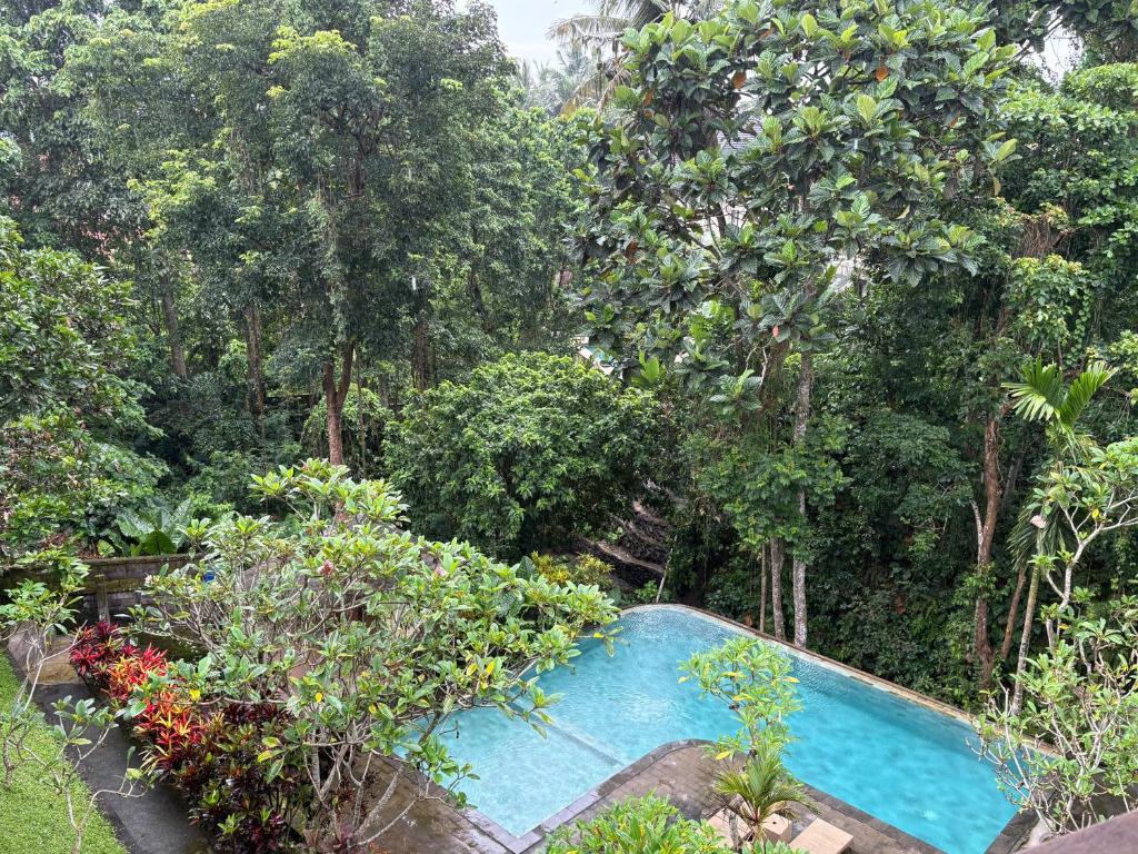 an overhead view of a swimming pool in a forest at Raka Rai Bungalows in Ubud