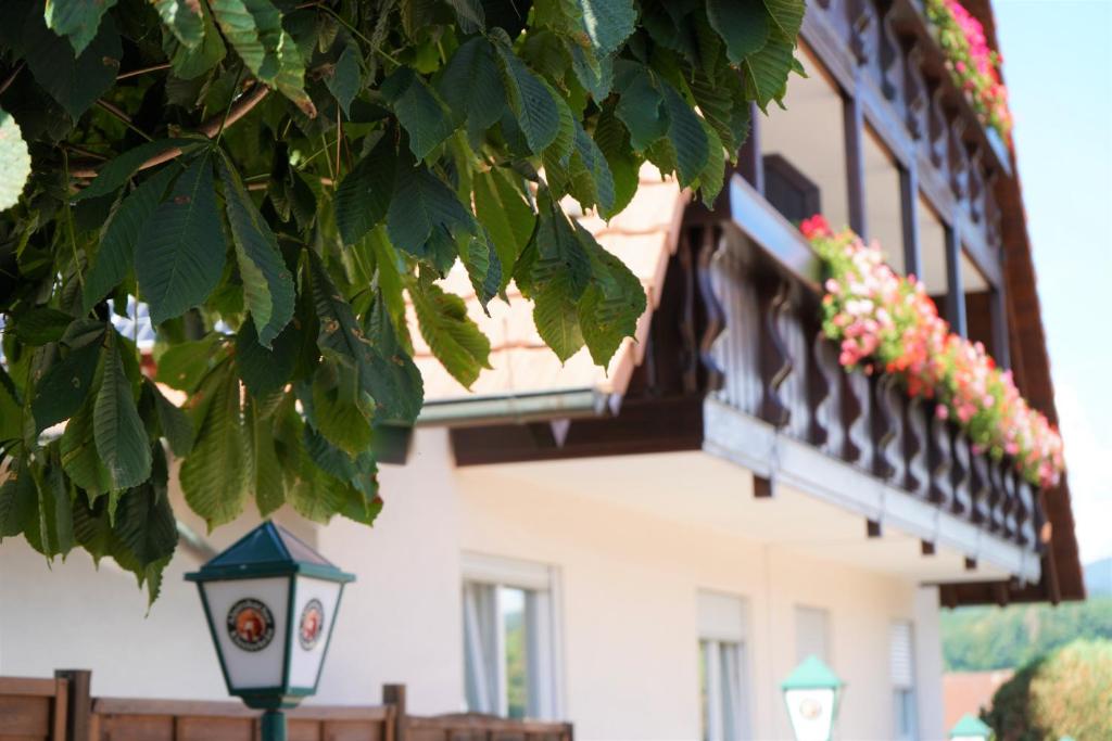 Hotel Garni Alte Post photo