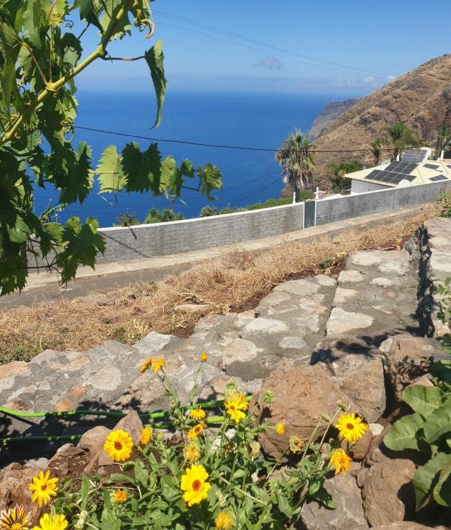 a view of the ocean from a hill with flowers at Farol views in Fajã da Ovelha