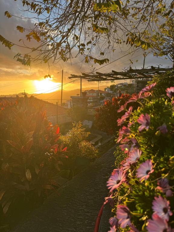 a sunset in a garden with flowers in the foreground at Casa das Flores Funchal in Funchal