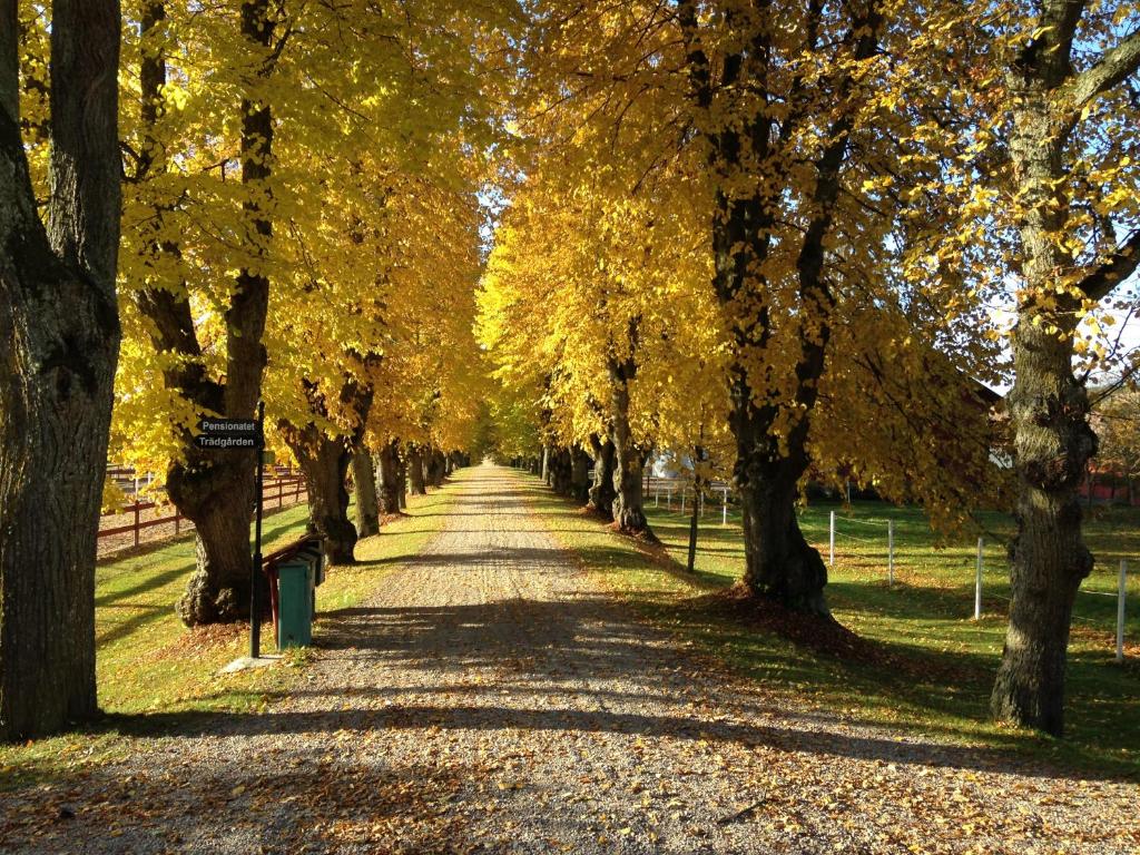 Fotografie z fotogalerie ubytování Runnvikens Pensionat v destinaci Tystberga