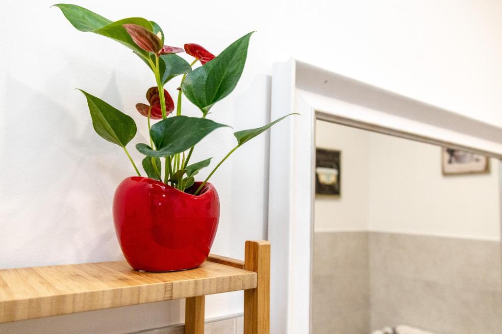 Scaligero Rooms - 10