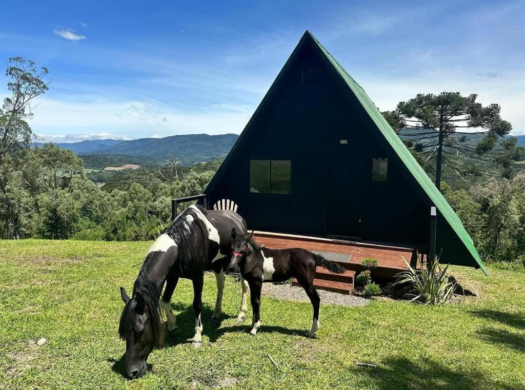 two horses grazing in a field in front of a house at Chalé da Árvore in Urubici