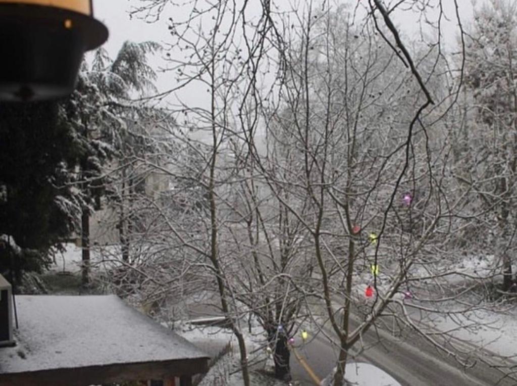 a tree with christmas ornaments on it in the snow at Kapri Termal Hotel & Kaplica Yalova in Termal