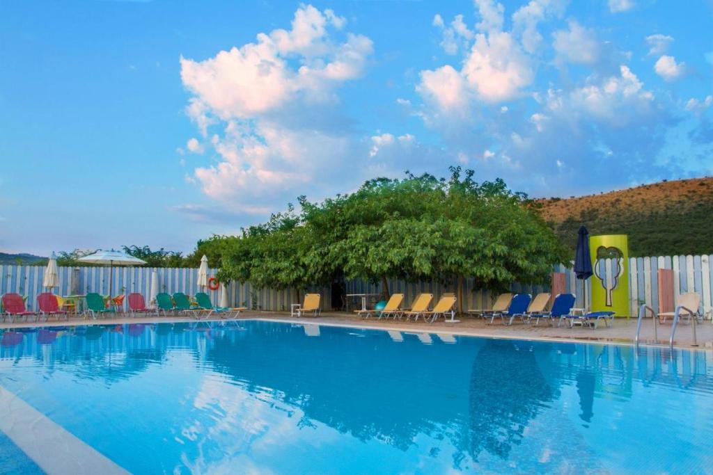 a large swimming pool with chairs and a tree at Aigai Hotel in Edessa