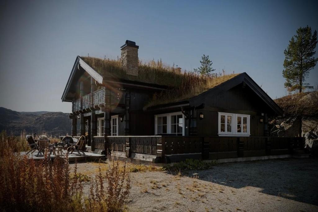 a house with a grass roof with at Great mountain cabin with 12 beds in Vågsli