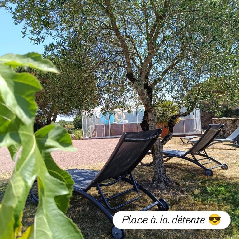 two chairs sitting under a tree in a park at Le gîte Le Marillet in Thorigny
