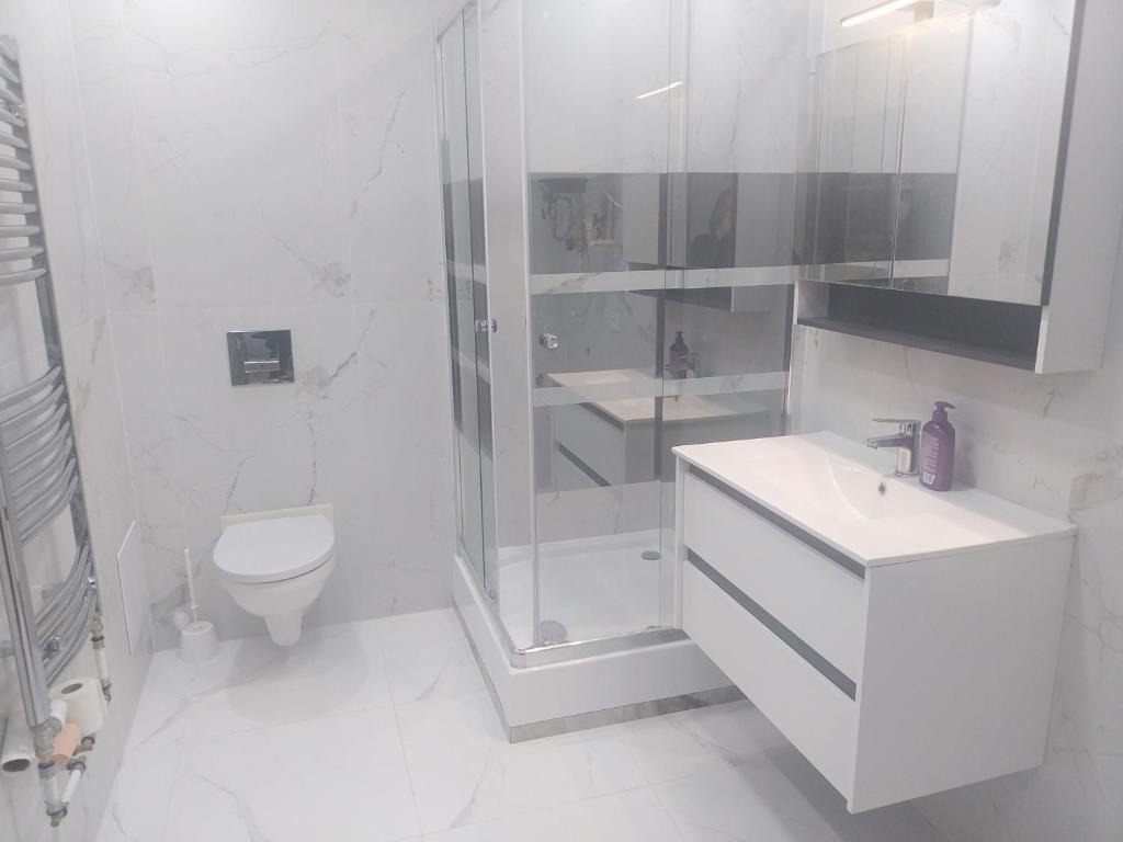 a white bathroom with a shower and a toilet at Apartmán Tonny in Jáchymov