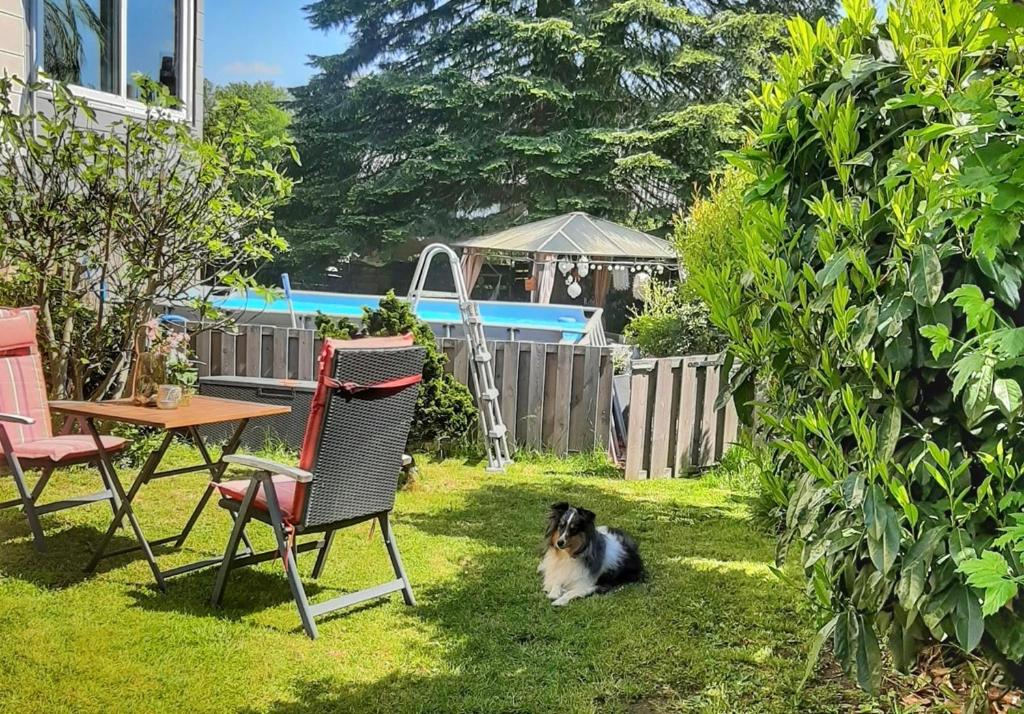 a dog laying in the grass next to a table and chair at Hillis Ferienwohnung Saarland in Sankt Ingbert