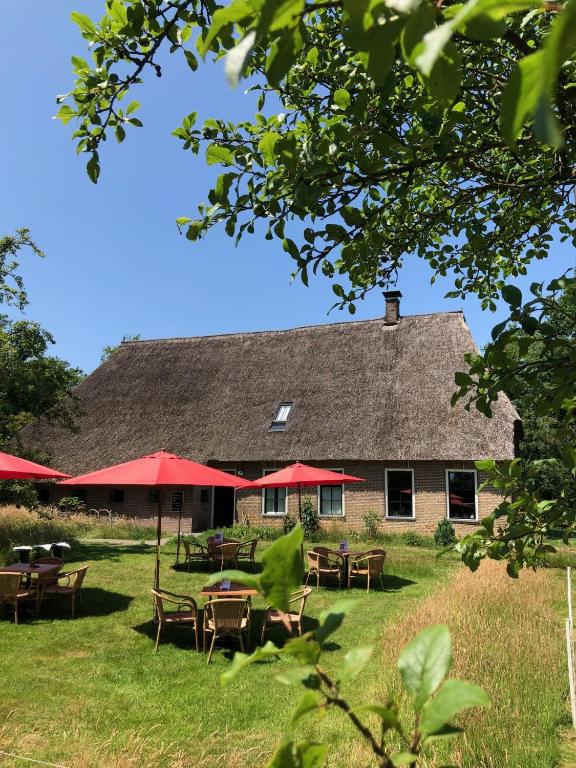 a building with tables and chairs in front of it at B&B en theetuin Loodiep in Zwinderen
