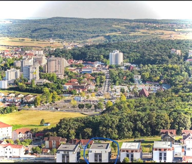 an aerial view of a city with buildings and trees at La felix bulevard in Biharia