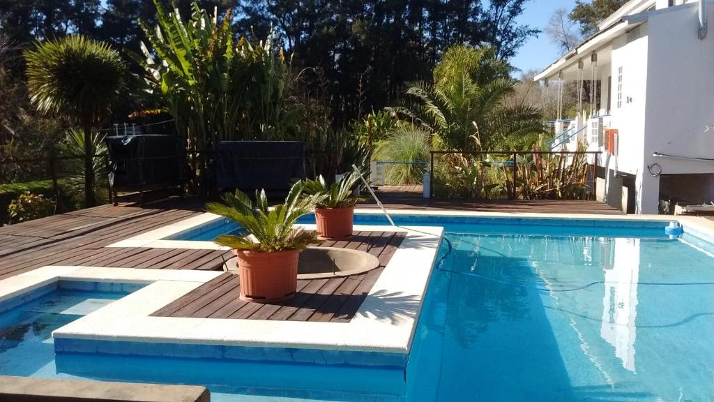 a swimming pool with potted plants next to a house at Guest House Peter Flanders in Tigre
