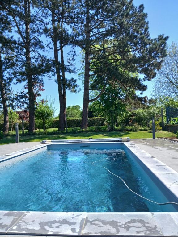 a swimming pool in a yard with trees at Maison vintage à Montdauphin in Montdauphin