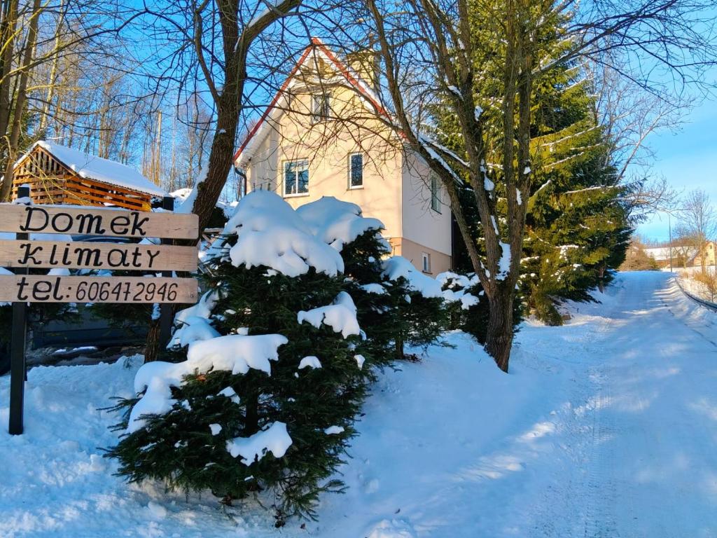 a snow covered christmas tree in front of a house at Domek Klimaty- Kamieńczyk in Międzylesie
