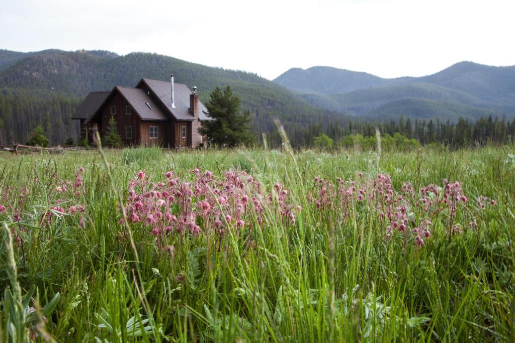 um campo com flores cor-de-rosa em frente a uma casa em Homestake Lodge em Whitehall