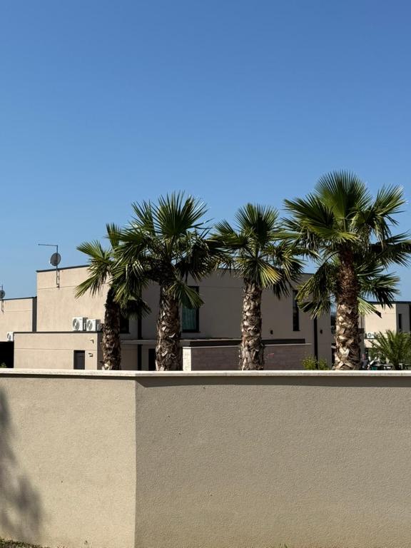 a row of palm trees in front of a building at Villa Oasis Poreč in Labinci