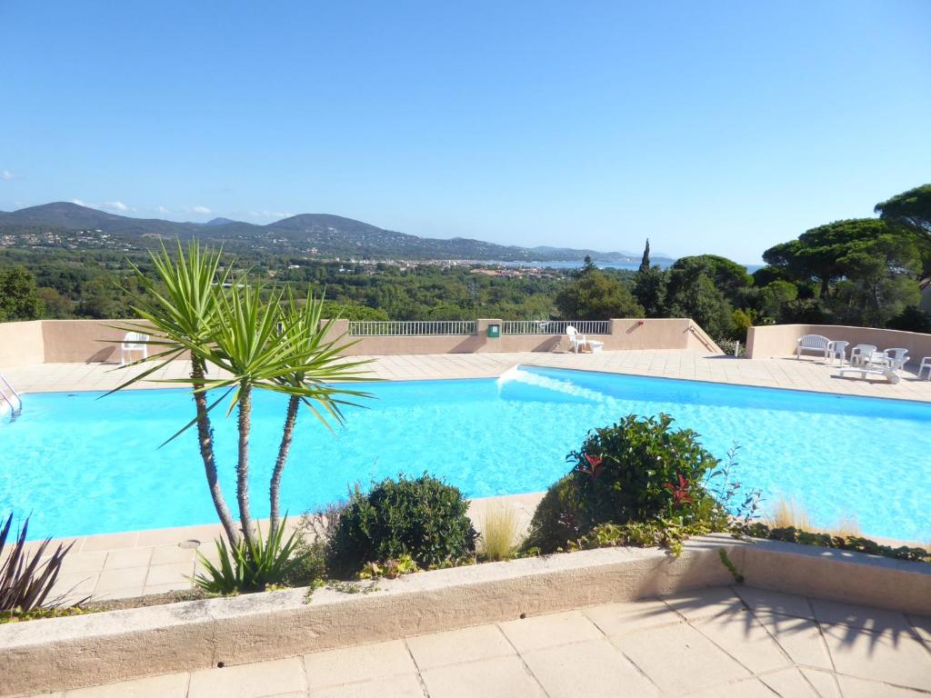 a large swimming pool with a palm tree in the foreground at Ferienhaus bei St. Tropez in Cogolin