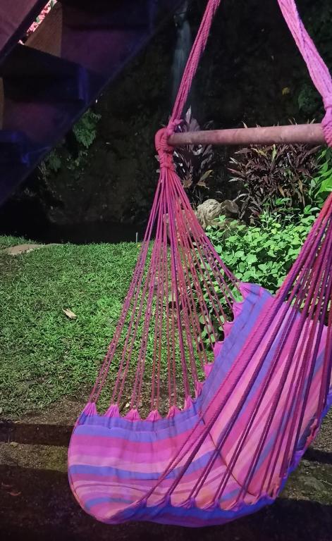 Oasis nature et cascade privée - photo 3 - Tahiti, Polynésie