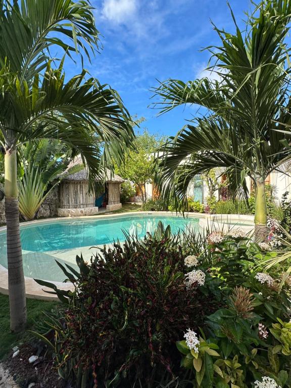 a swimming pool with palm trees and plants at Campeche Mágico in Campeche
