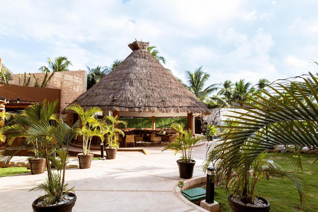 a pavilion with a grass roof with palm trees at Esplendor by Wyndham Isla Mujeres Boutique All Inclusive in Isla Mujeres