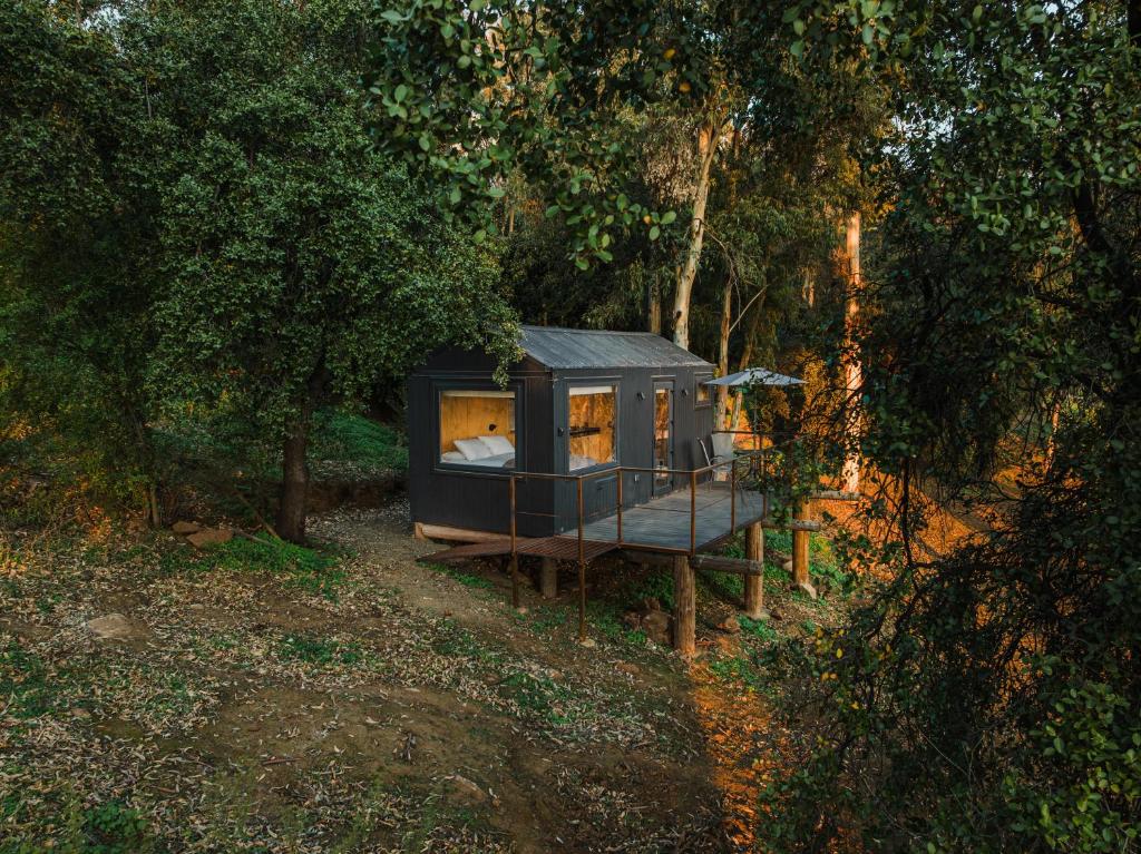 a tiny house in the middle of a forest at Cabins entre bosques y viñedos con vistas al valle - Tucu cabins in Maipo