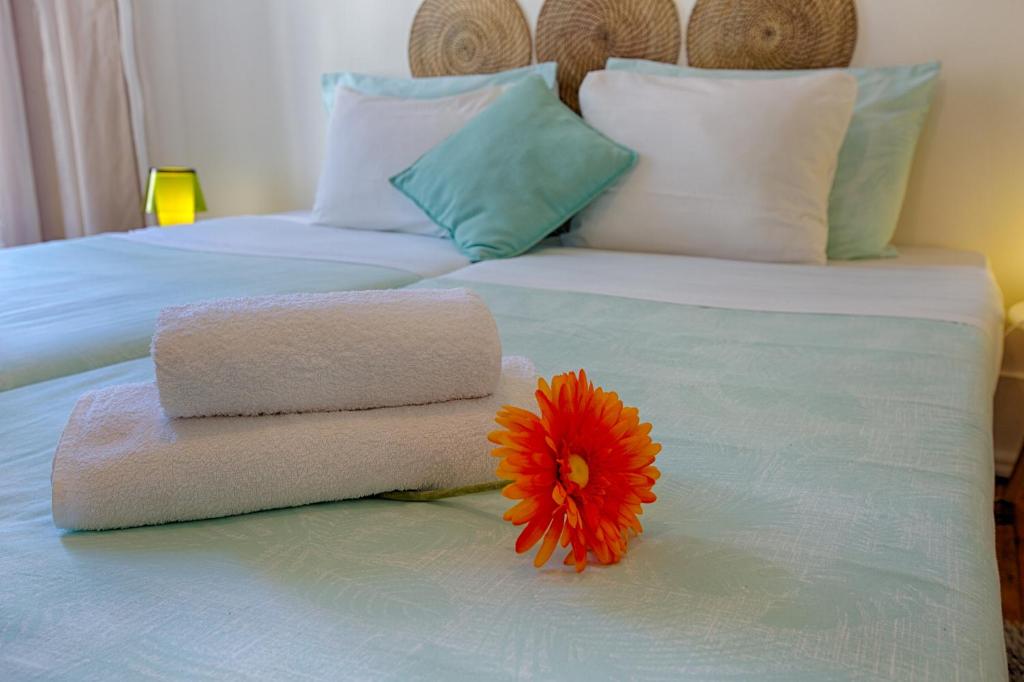 Chalet D´Ávila Guest House - 12