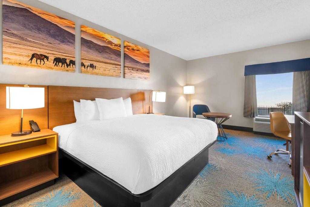 Days Inn & Suites by Wyndham Ridgeland - Camera King - Fumatori