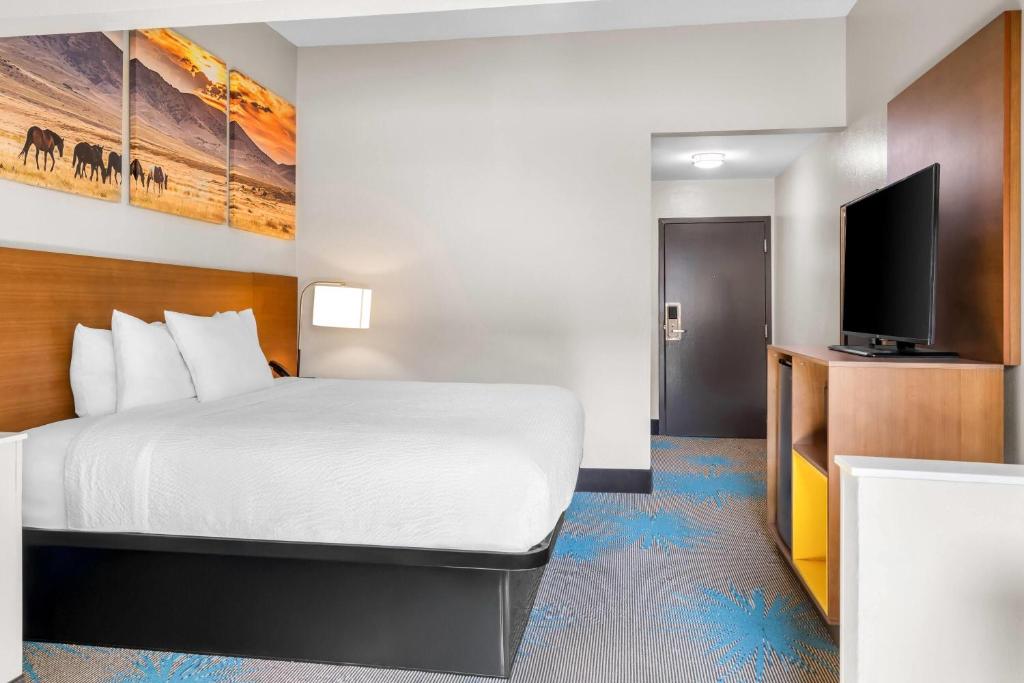 Days Inn & Suites by Wyndham Ridgeland - Suite King Deluxe - Non Fumatori