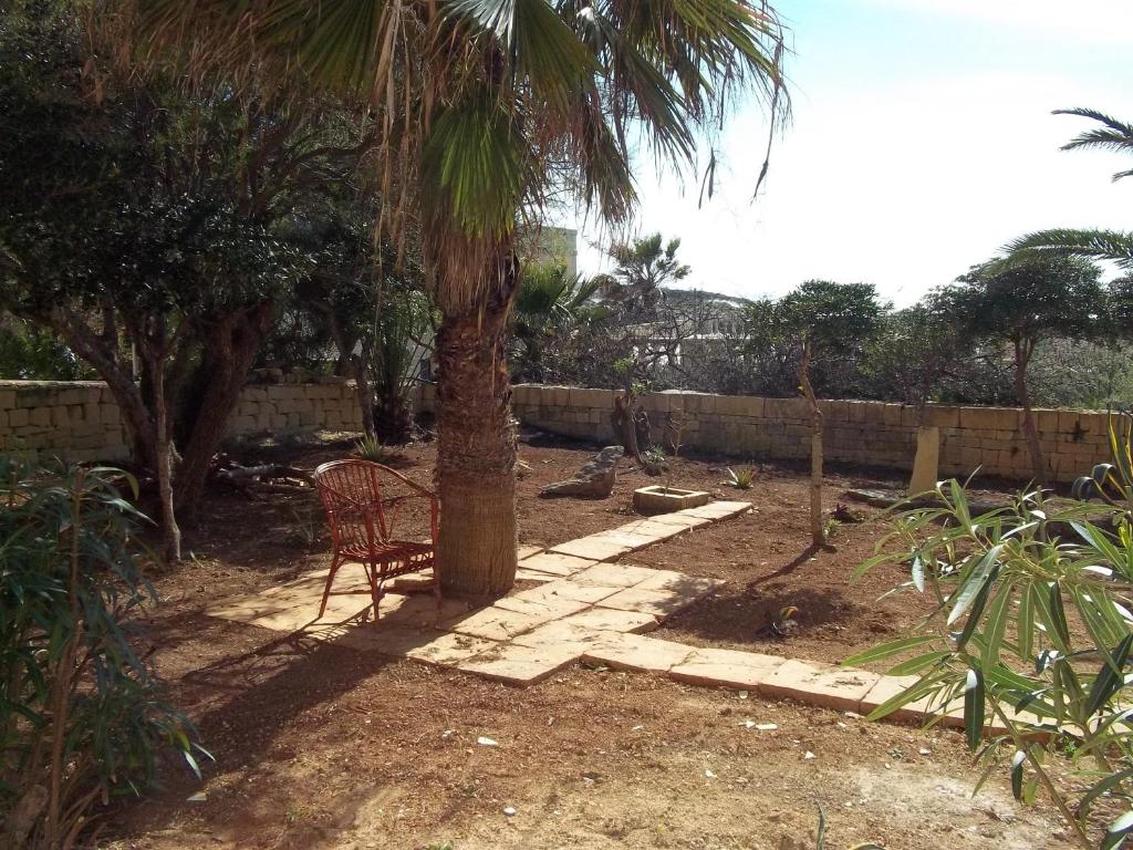 San Antonio Guesthouse - 17